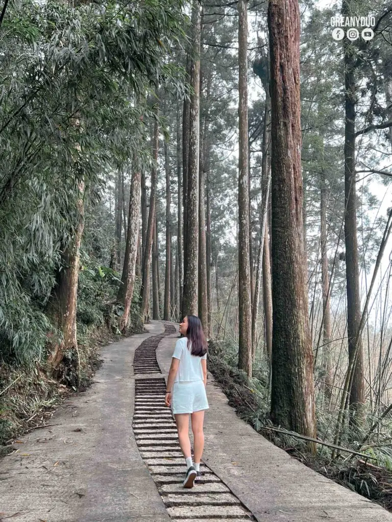 greanyduo_yuyualishan_wm109