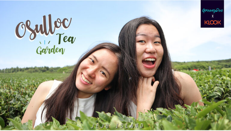 ตามรอยน้องหนอนชิม เม โจ ได๋ มาเที่ยวไร่ชาเขียว O'Sulloc เกาะเชจู (GREANYDUOXKLOOK)
