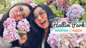 หลงเข้าดงดอกไฮเดรนเยียที่สวนฮัลลิม (Hallim Park) เกาะเชจู (GREANYDUOXKLOOK)